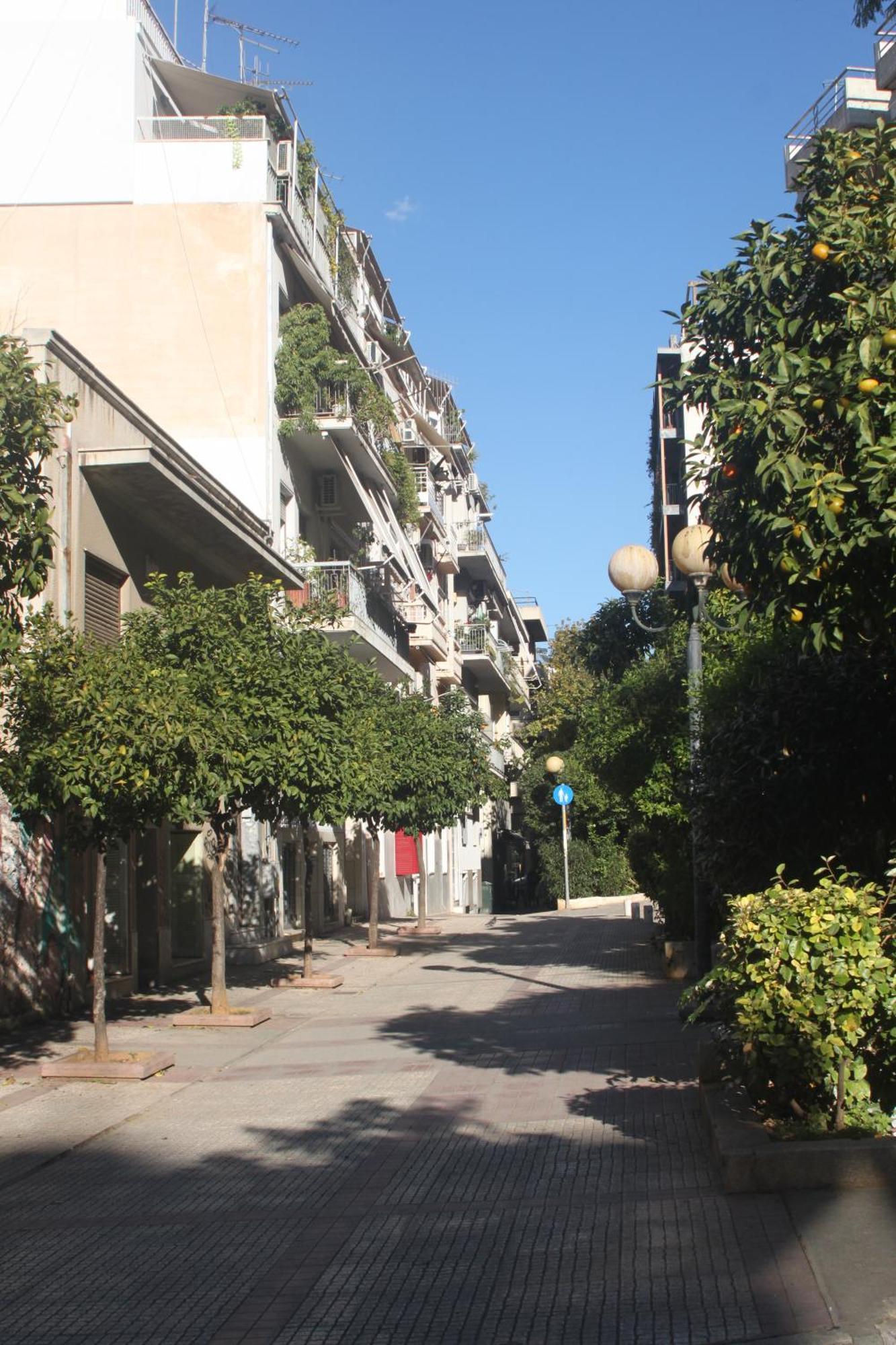 "Under The Olive Tree"- Beautiful Apartment In The Heart Of 雅典 外观 照片