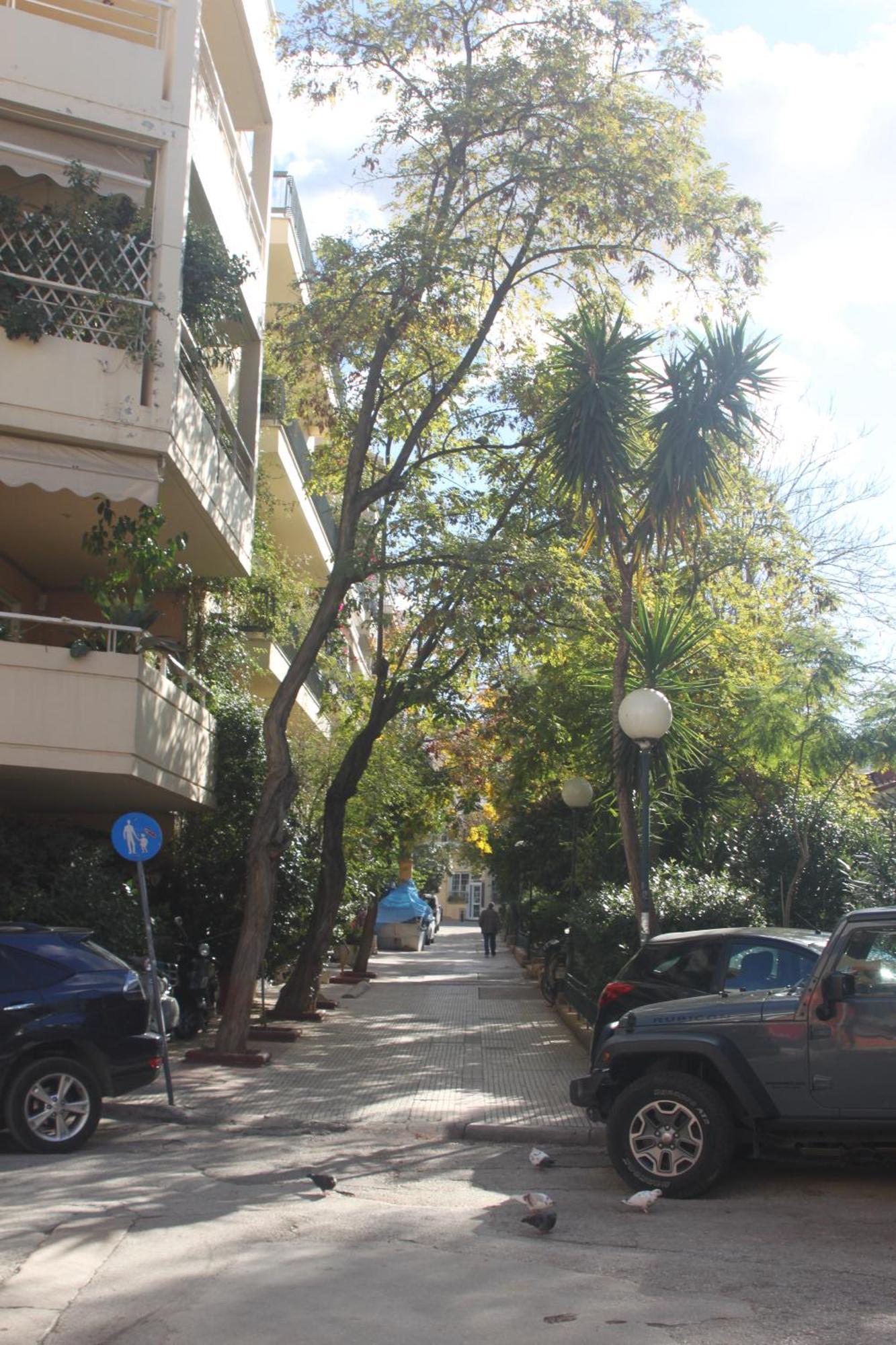 "Under The Olive Tree"- Beautiful Apartment In The Heart Of 雅典 外观 照片