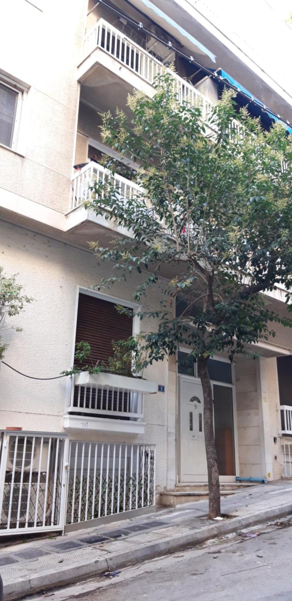 "Under The Olive Tree"- Beautiful Apartment In The Heart Of 雅典 外观 照片